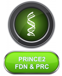 Prince2_FDNPRC_combined2
